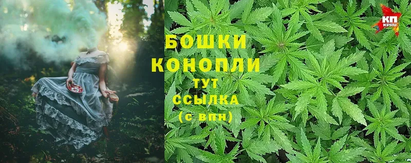 Шишки марихуана SATIVA & INDICA  блэк спрут онион  Партизанск 